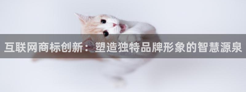 天狮娱乐官方代理