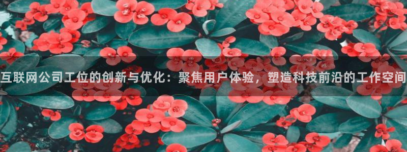 天狮娱乐开好
