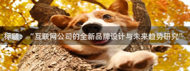 天狮娱乐手机
