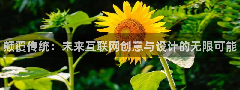 天狮娱乐谁在玩