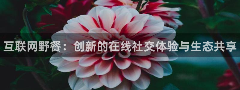 天狮娱乐代理怎么做