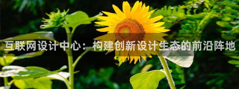 天狮娱乐-扣 股东