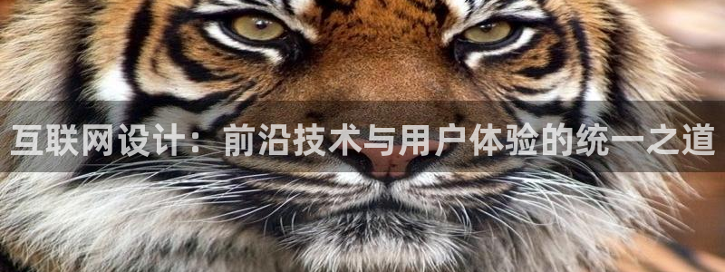 天狮娱乐会员