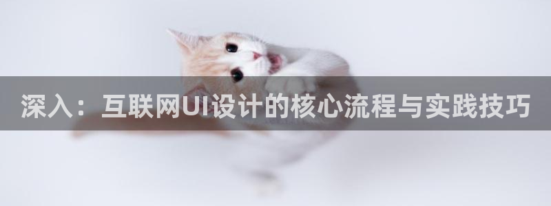 天狮娱乐股东Q 882092：