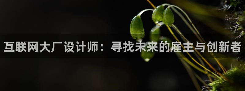 天狮娱乐30j判官333OO