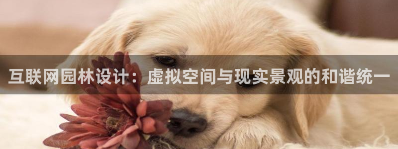 天狮娱乐代理最高多少钱：互联网