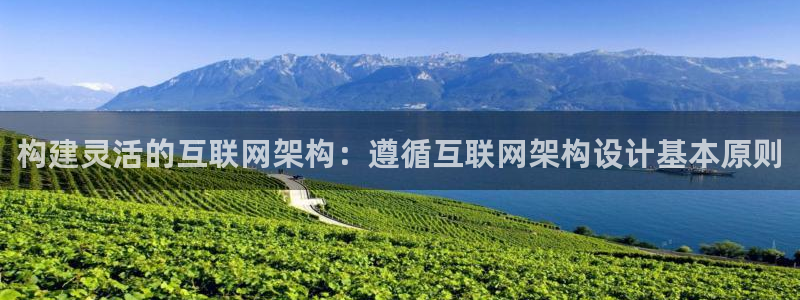 天狮娱乐主：构建灵活的互联网架