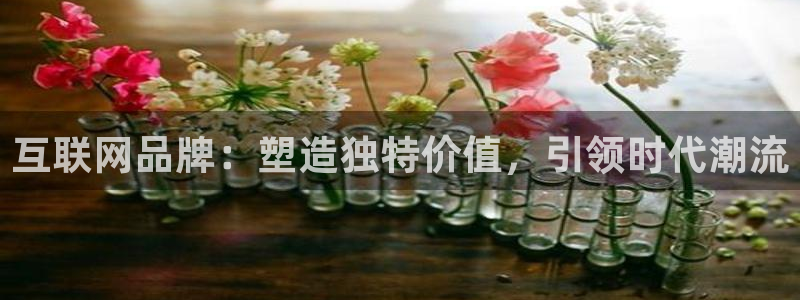 天狮娱乐招商66六26