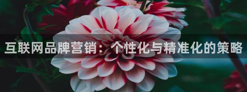 天狮娱乐 138