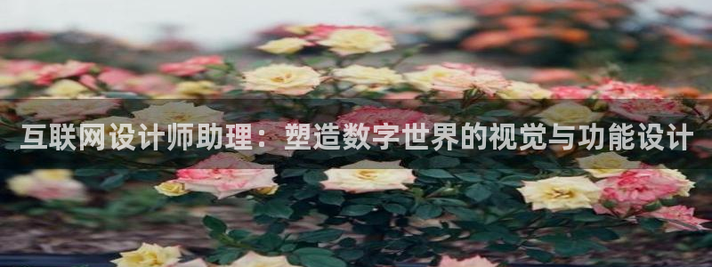 天狮娱乐谁在玩