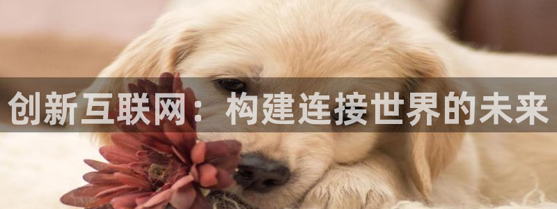 天狮娱乐_99399天神_加扣C
