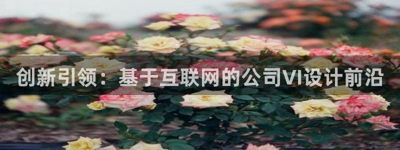 天狮娱乐招商87277