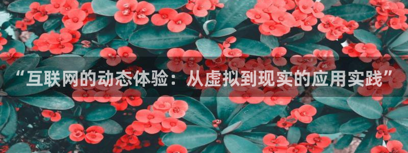天狮娱乐怎么玩法：“互联网的动