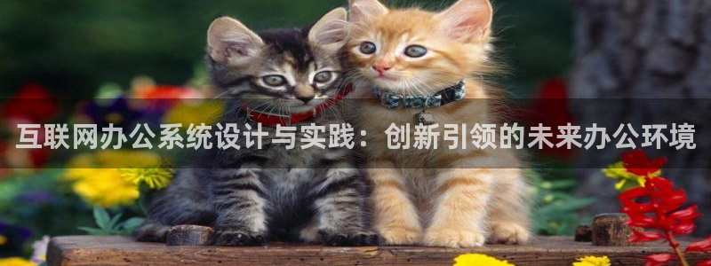 龙湖苏州狮山天街娱乐