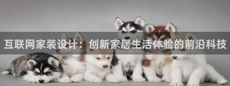 天狮娱乐p实 权