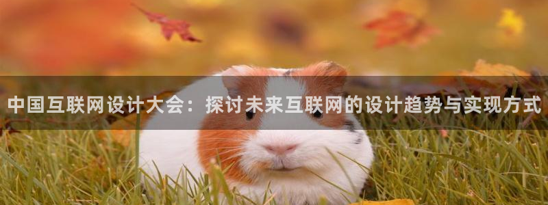 天狮娱乐彩票注册：中国互联网设
