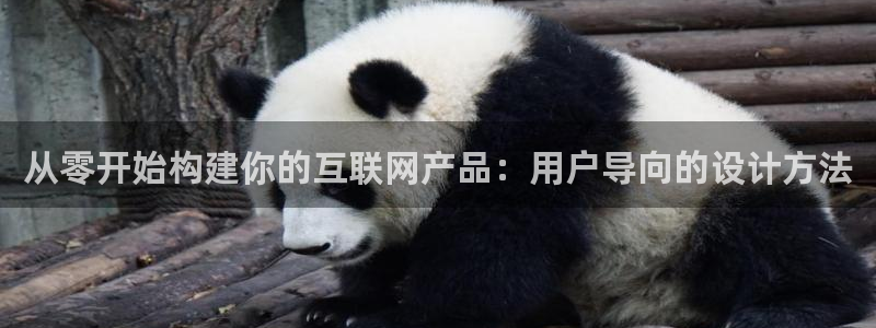 天狮娱乐用户名怎么起