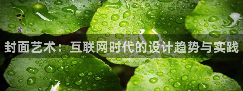 天狮娱乐可靠吗：封面艺术：互联