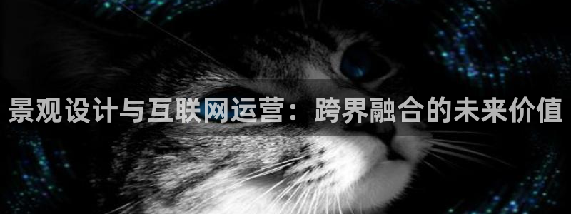 天狮娱乐 amp u招商35980