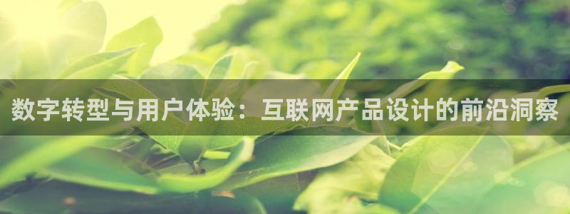 天狮娱乐 招商扣：数字转型与用